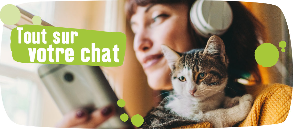 Tout sur votre chat