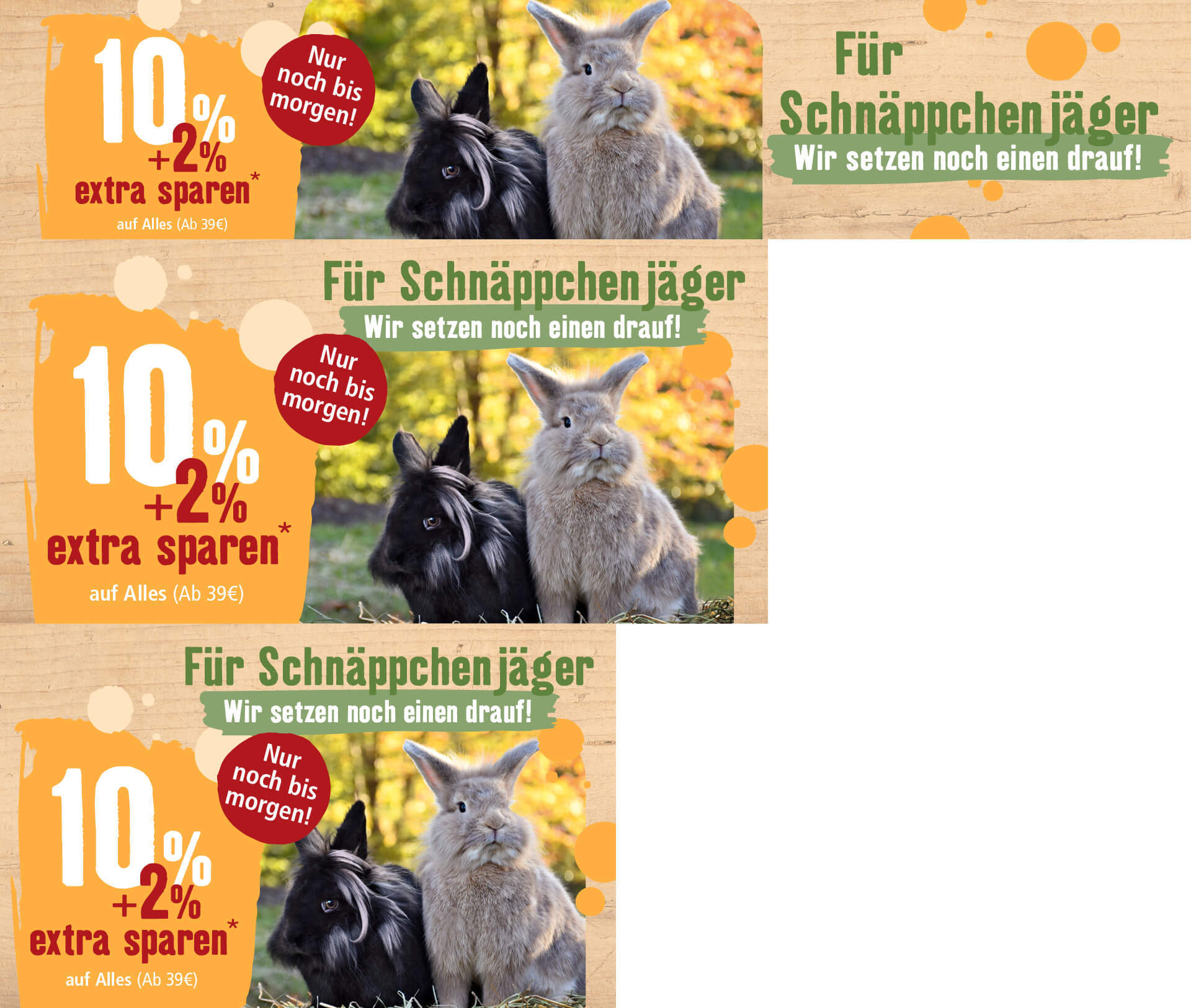 Zwei Kaninchen sitzen auf Gras vor herbstlichem Hintergrund mit Werbetext für 10% + 2% extra Rabatt auf alles ab 39 Euro, nur noch bis morgen, für Schnäppchenjäger.