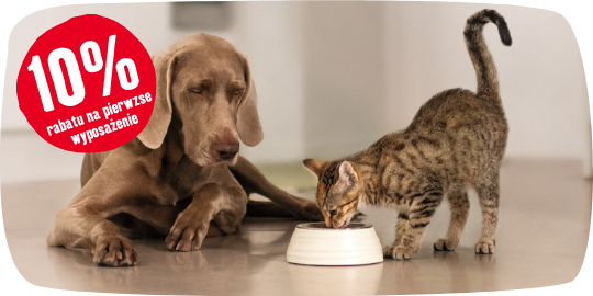 Brązowy pies leży obok pręgowanej kota, który je z białej miski, z czerwonym napisem 