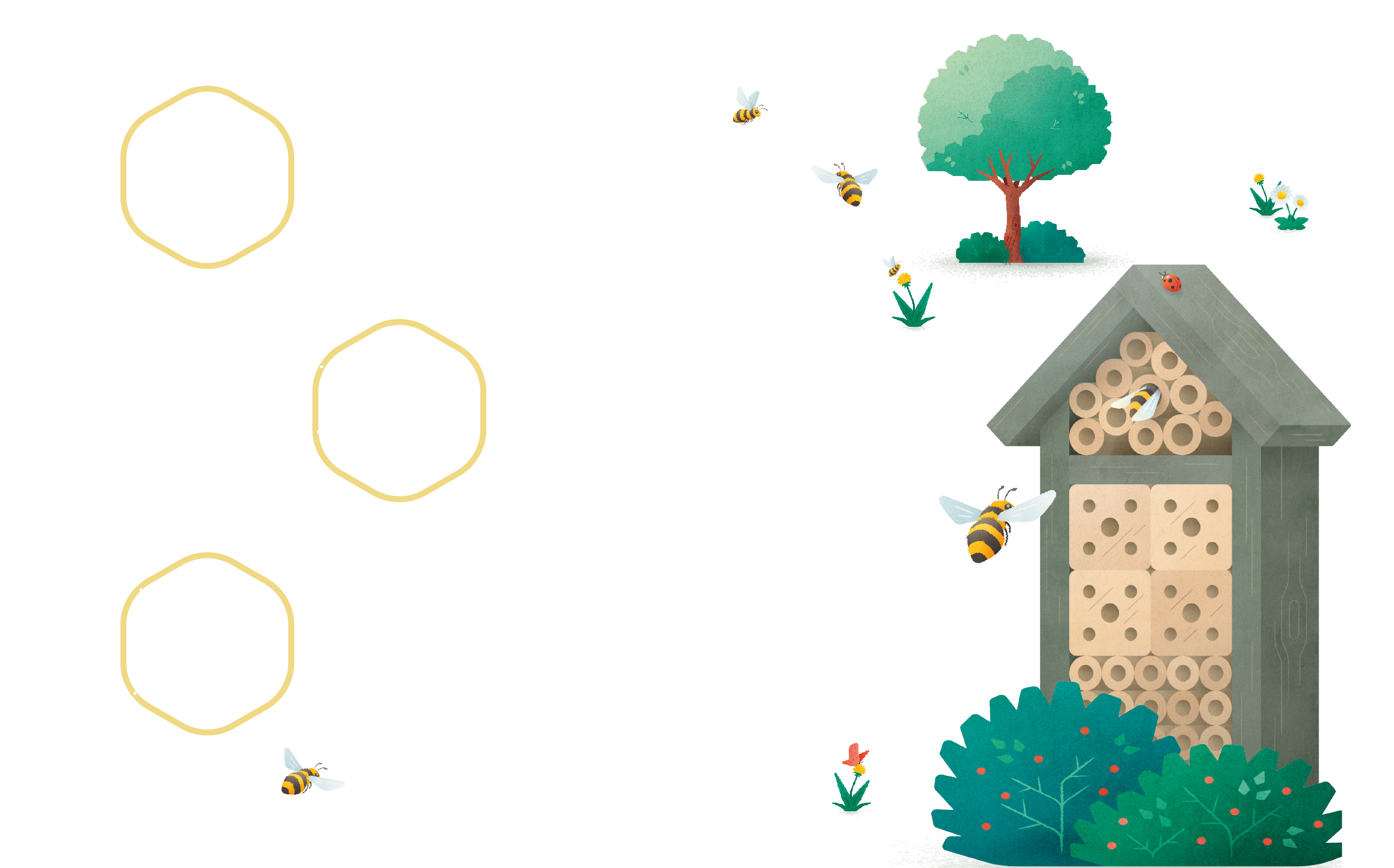 FN_bienen_Wabe_Schritte Hilf der Biene