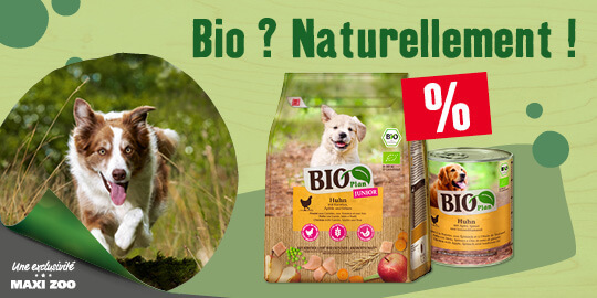 Imperméable chien maxi zoo Clearance