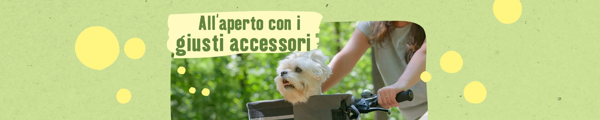 Negozio Online Per Animali Alimenti E Accessori Per Animali Maxi Zoo Negozio Online Per Animali Alimenti E Accessori Per Animali Maxi Zoo