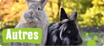 Autres animaux