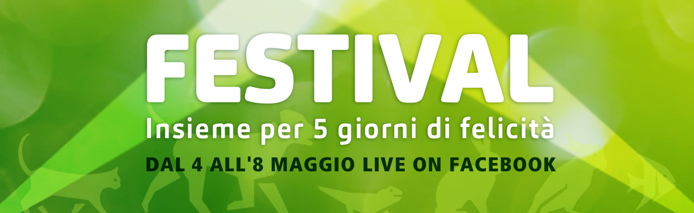 Festival Maxi Zoo