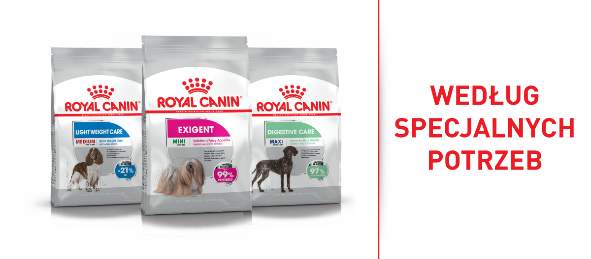 Trzy worki karmy dla psów Royal Canin według specjalnych potrzeb: Light Weight Care Medium, Exigent Mini, Digestive Care Maxi