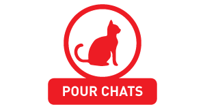 Pour chats