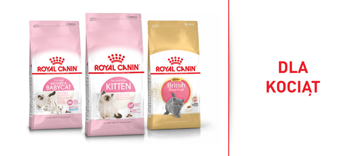 RC_Brand_Shop_FRESSNAPF-2 Karma dla kotów Royal Canin dla kociąt – matka i kocięta, kocięta do 12 miesięcy oraz brytyjski krótkowłosy kociak