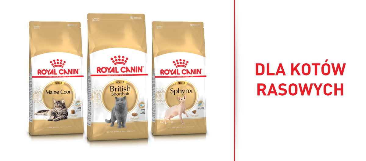RC_Brand_Shop_FRESSNAPF-3 Karma dla kotów Royal Canin dla ras Maine Coon, British Shorthair i Sphynx w złoto-białym opakowaniu
