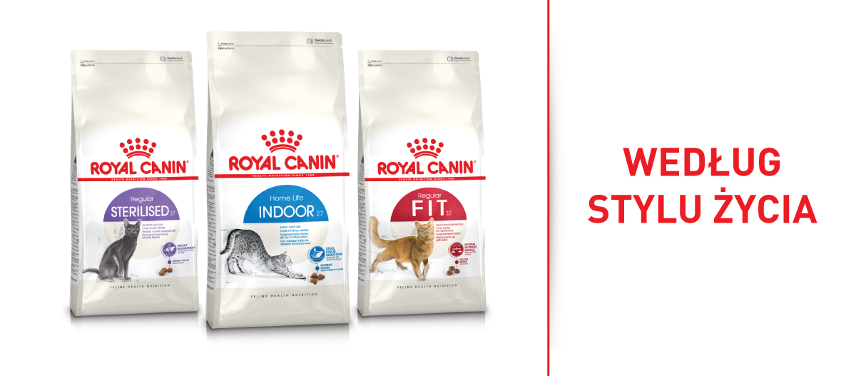 RC_Brand_Shop_FRESSNAPF-4 Trzy opakowania karmy dla kotów Royal Canin dla kotów wysterylizowanych, domowych i aktywnych, dopasowane do stylu życia.