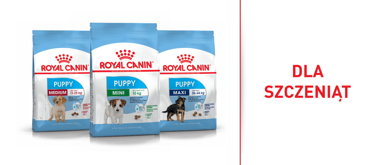 Karma Royal Canin dla szczeniąt w trzech rozmiarach Mini, Medium i Maxi wspierająca układ odpornościowy i trawienie