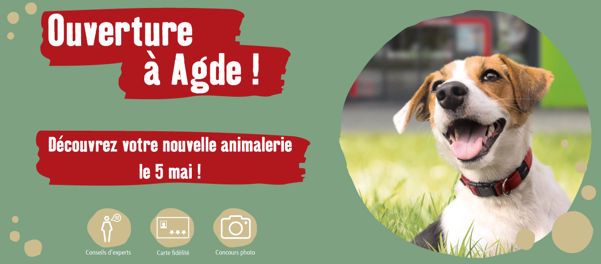 Ouverture à Agde