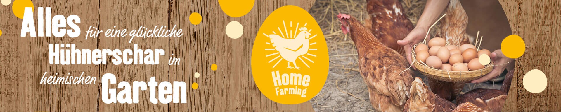 Alles für eine glückliche Hühnerschar im heimischen Garten