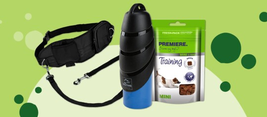 Zwarte heupband met riem, draagbare zwarte en blauwe hondenwaterfles en groene zak PREMIERE trainingssnoepjes voor kleine honden op een groene achtergrond.