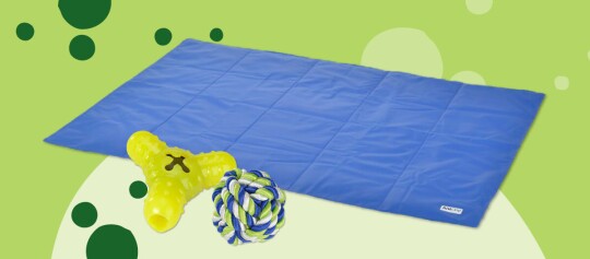 Blauwe koelmat voor honden met geel kauwspeelgoed en blauw-groen-witte touwbal op groene achtergrond