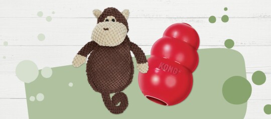 Jouet en peluche singe marron doux et jouet en caoutchouc rouge KONG pour chien sur fond en bois blanc avec motif vert.