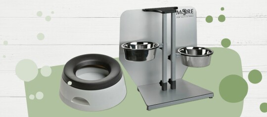 Gamelles surélevées pour animaux, bol unique avec bord noir et support double réglable en acier inoxydable pour chats et chiens.