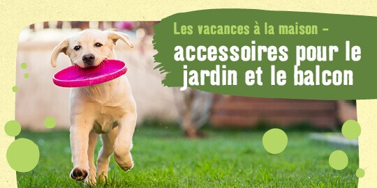 Animalerie En Ligne Produits Pour Animaux Maxi Zoo