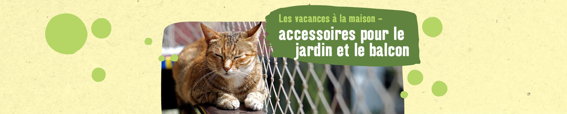 Accessoires Et Articles Pour Chats Maxi Zoo