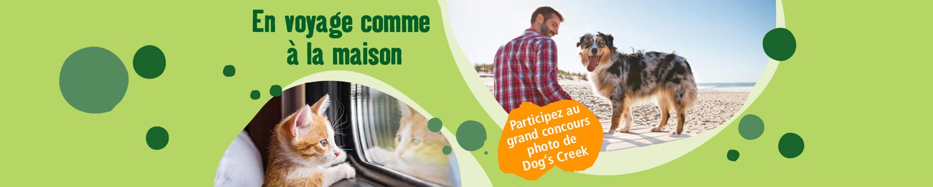 Animalerie En Ligne Produits Pour Animaux Maxi Zoo