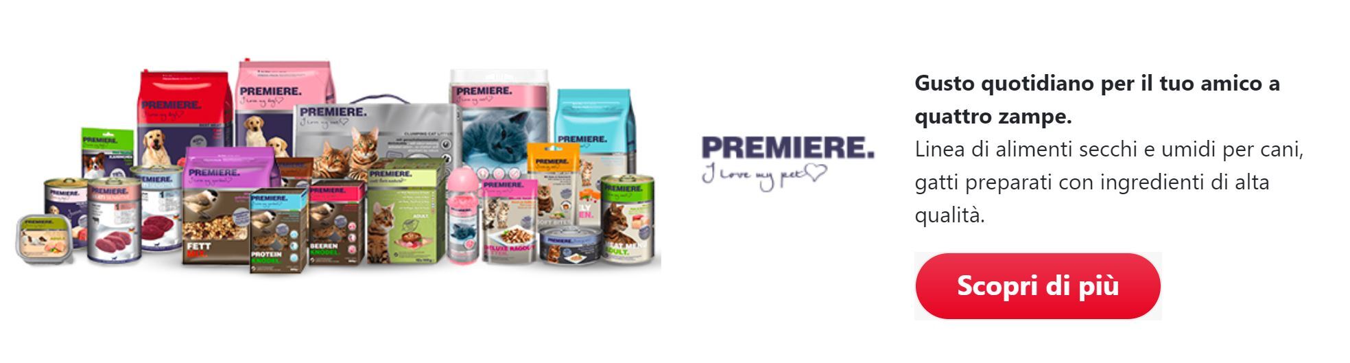 IT Premiere banner
