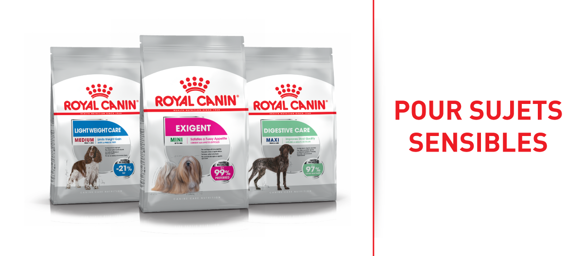 Nourriture pour chiens Royal Canin pour sujets sensibles, avec Light Weight Care, Exigent Mini et Digestive Care Maxi