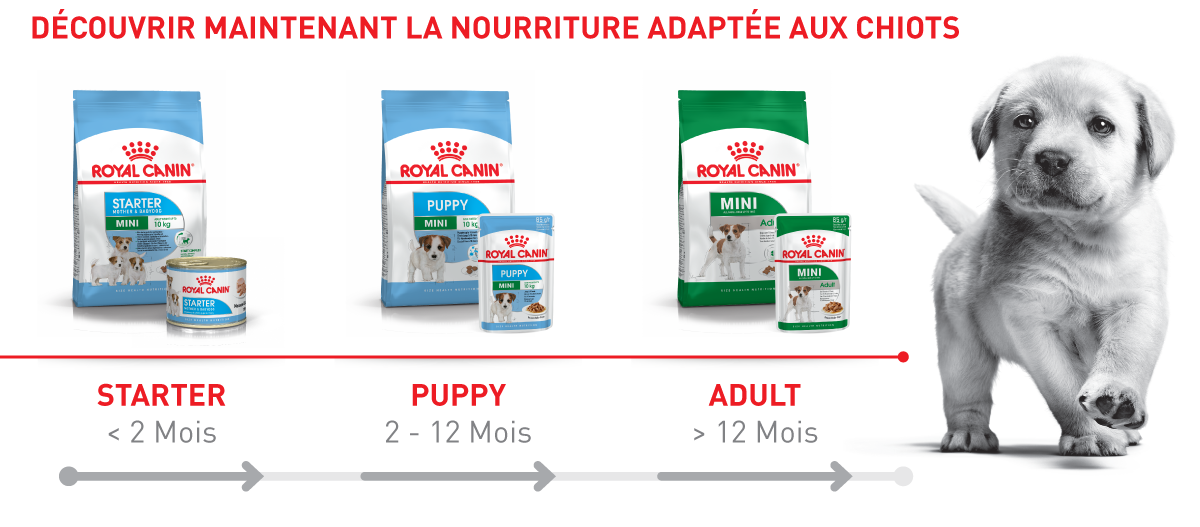 Nourriture Royal Canin adaptée aux chiots selon l'âge – Starter, Puppy et Adult avec croquettes et pâtée pour petites races.