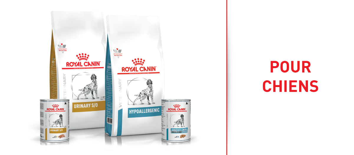 Royal Canin Vet pour chiens
