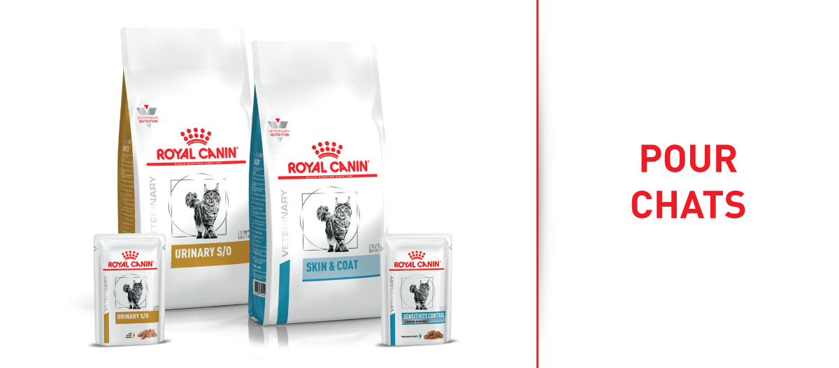 Royal Canin Vet pour chats