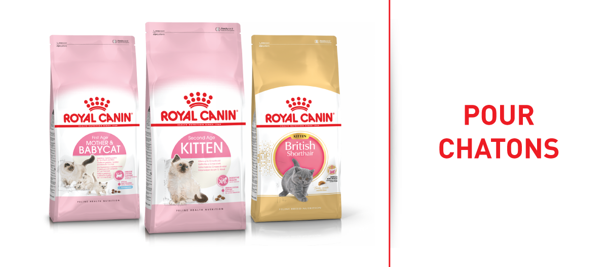 Nourriture Royal Canin pour chatons – mère et bébé chat, chaton jusqu’à 12 mois, chaton British Shorthair