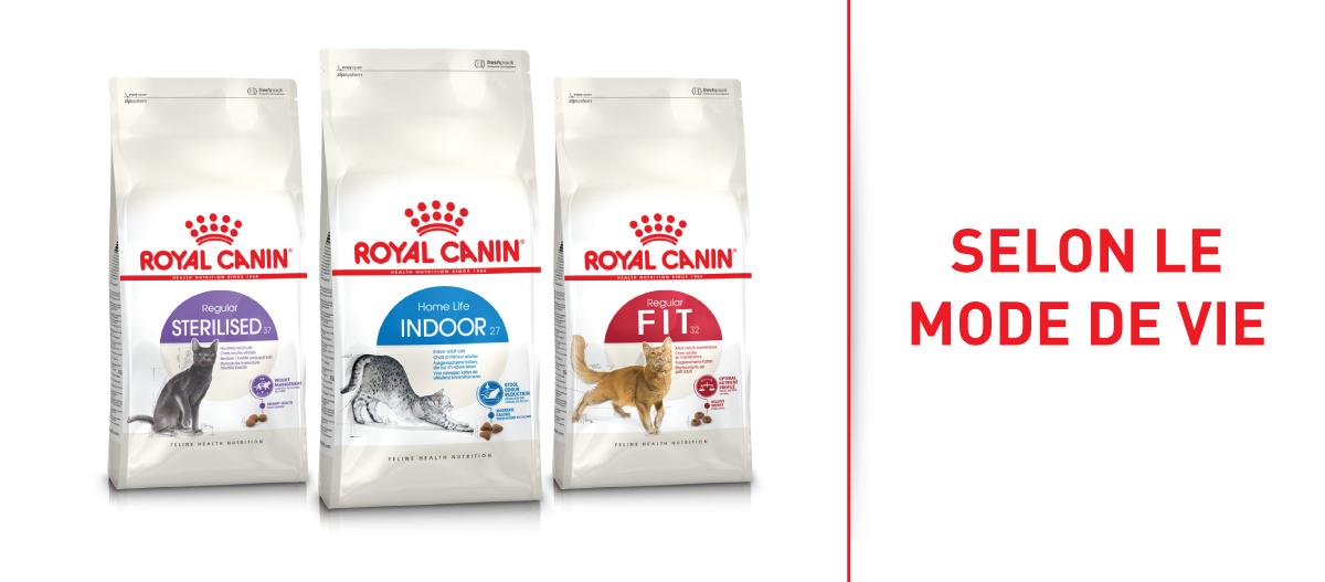 Nourriture Royal Canin pour chats selon le mode de vie – chats stérilisés, chats d'intérieur et chats actifs