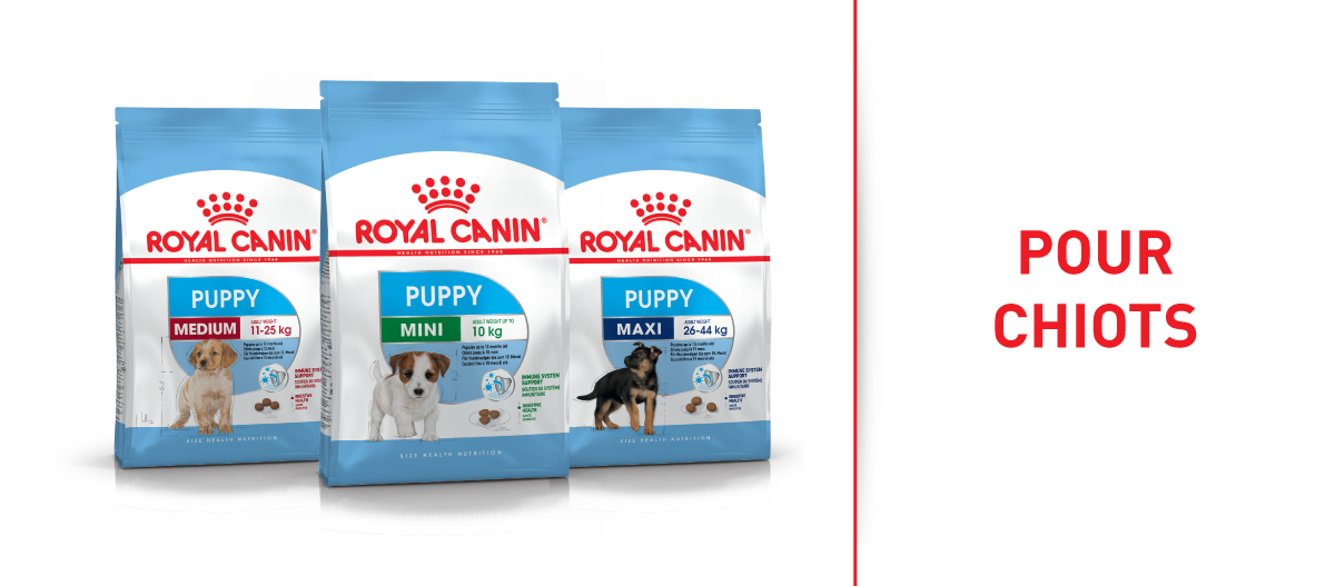 Nourriture pour chiots Royal Canin en trois tailles Mini, Medium et Maxi avec soutien du système immunitaire et santé digestive