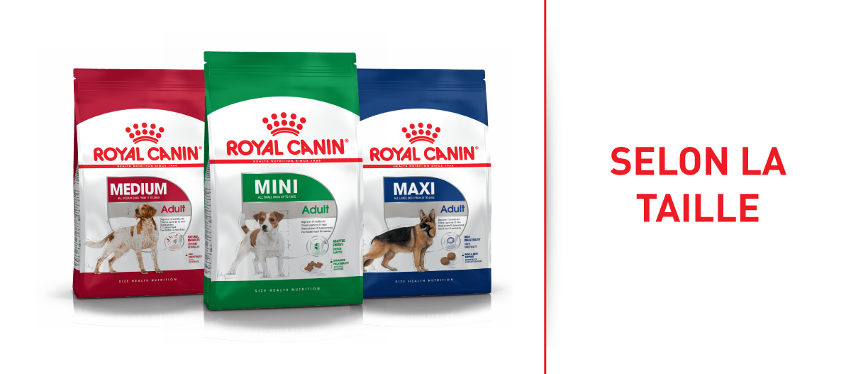 Croquettes Royal Canin pour chiens adultes selon la taille – Mini, Medium et Maxi en sacs colorés