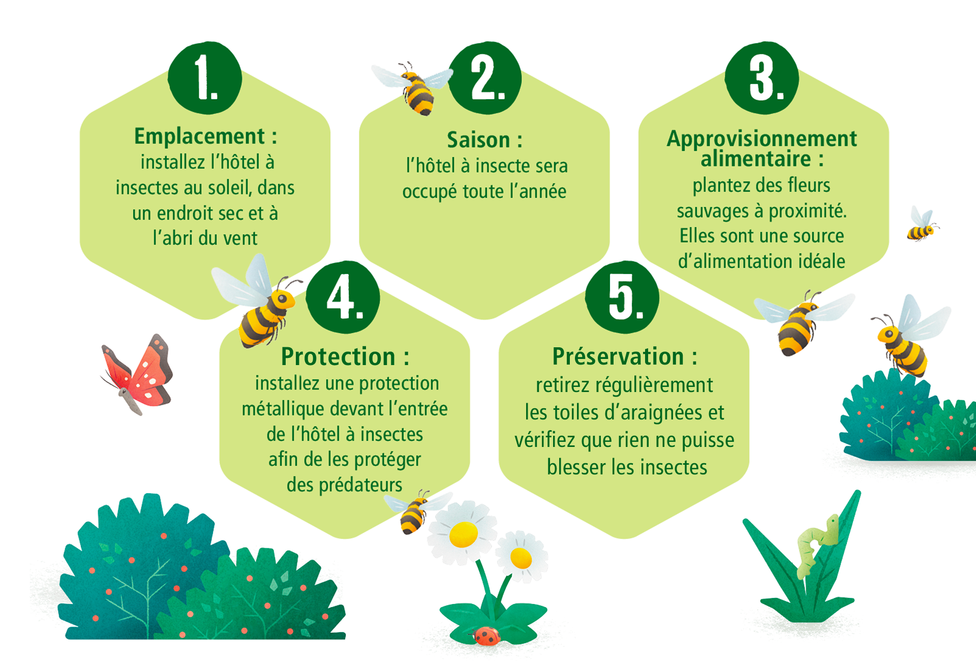 5 astuces pour votre hotel à insectes