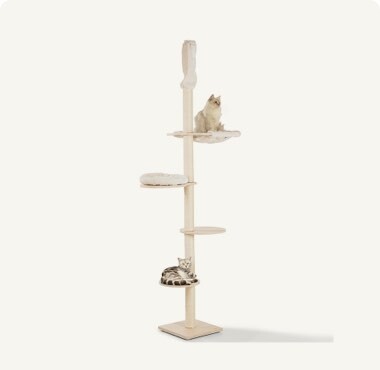 maxi zoo cat scratching post