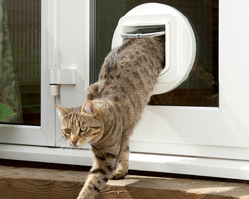 Getijgerde kat die door een witte kattenluik in een glazen deur naar buiten gaat