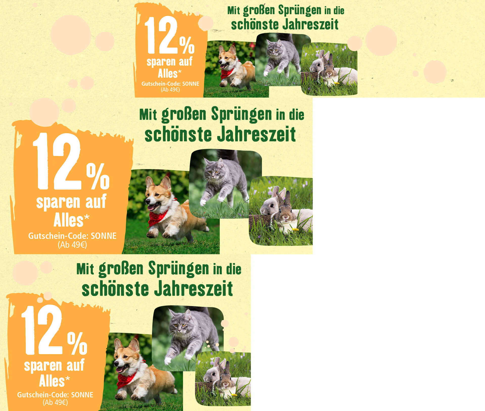 AT_KW19_CRM_HundKatzeNager_CH_OS.Stage_11 (1) 12% auf Alles Rabatt Österreich 2 Wochen Juni