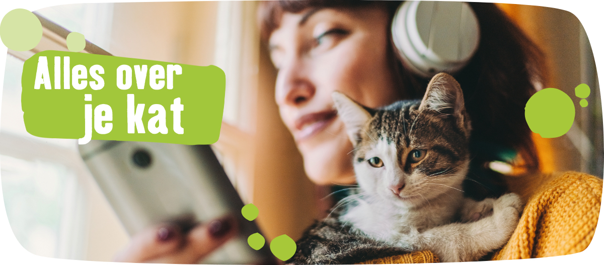 Alles over je kat