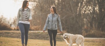 Deux jeunes femmes marchent avec un grand chien blanc dans un parc automnal au coucher du soleil.