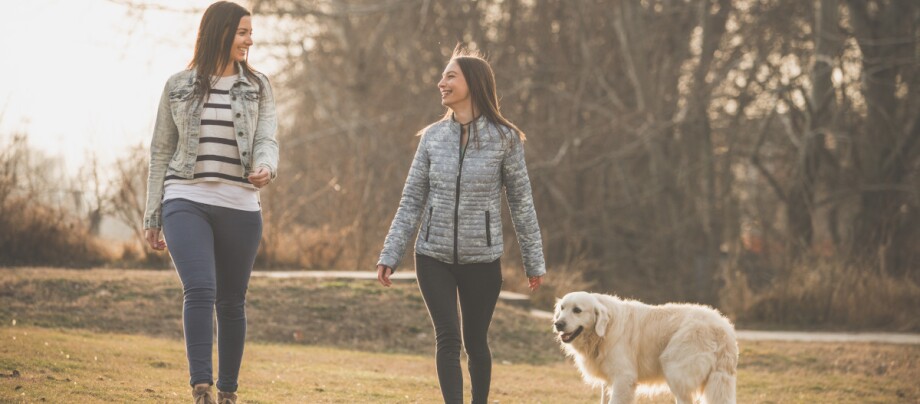 Zwei Frauen gehen mit Hund im Park spazieren