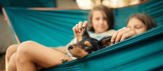 Hund mit Kindern in Hängematte