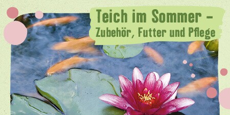 Gutscheine, Aktionen und Gewinnspiele FRESSNAPF