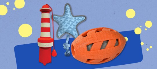 Kleurrijk hondenspeelgoed – vuurtoren, geknoopte ster en rugbybal van stof en rubber