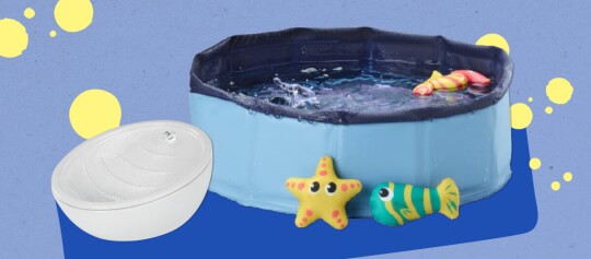 Kleine blauwe huisdierenzwembad gevuld met water en kleurrijke pluche zeedieren naast een witte huisdieren waterfontein