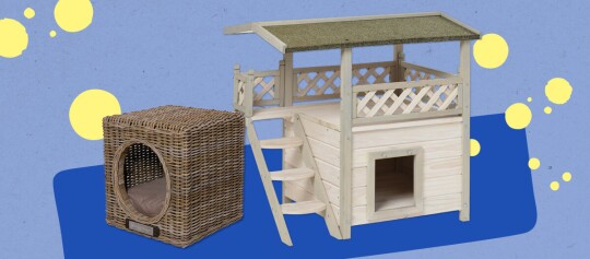 Moderne gevlochten rieten kattenmand naast een houten huisdierhuis met twee verdiepingen, dak en trap