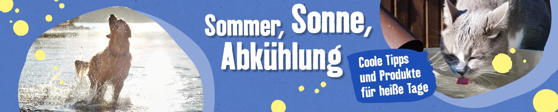 Sommer, Sonne Abkühlung