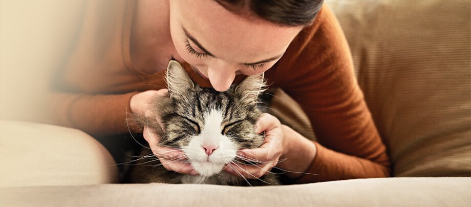 Katzenallergie: mit Katzen leben trotz Allergie