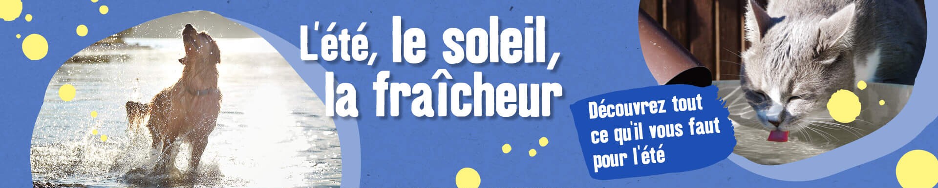 L'été, le soleil, la fraîcheur