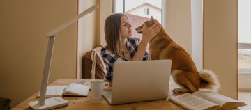 Junge Frau streichelt Shiba Inu Hund am Holztisch mit Laptop und Büchern in gemütlichem Zuhause