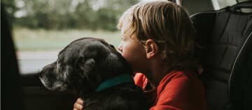 Kleines Kind umarmt schwarzen Hund mit blauem Halsband im Auto und schaut aus dem Fenster, liebevolle Freundschaft zwischen Kind und Haustier