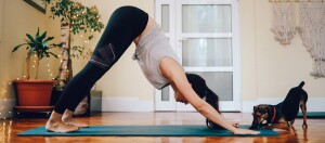 Frau macht Yoga in der Herabschauenden-Hund-Position mit Hund in gemütlichem Wohnzimmer